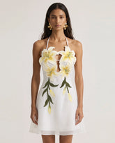 Lily-Embroidered Halter Mini Dress - White