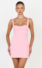 Zaria Mini Dress - Panel Dress in Pink