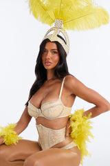 Diva After Dark 5 Piece Costume Set - Yellow/combo