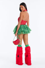 Juicy Watermelon 4 Piece Costume Set - Red/combo